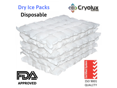 Food Grade Disposable Dry Ice packs - 1KG